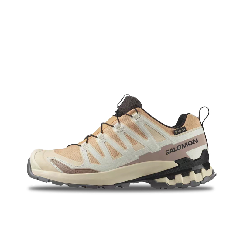 Salomon XA Pro 3D V9 GTX: Ein  – Salomon Shoes Xa Pro 3D Bewertung und Preis